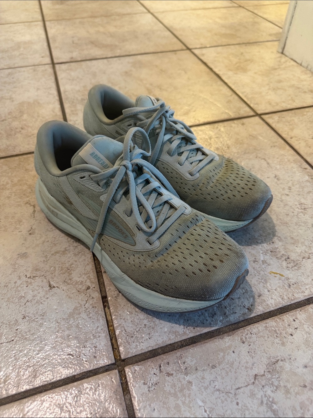Brooks Adrenaline GTS